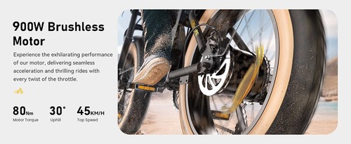 isinwheel R6 Electric Bike, 250W Motor, 48V 13Ah Battery, 20*4-inch Tires, 45km/h Max Speed, 100km Range, Dual Disc Brakes, Hydraulic Front Fork + Rear Shock Absorber, Shimano 7-speed, LCD Display