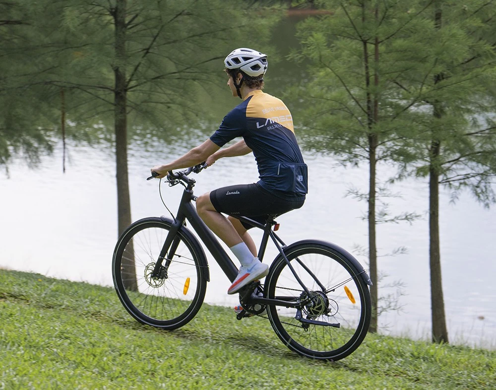 DYU Stroll 1 Electric Bike, 250W Motor, 36V 9Ah Battery, 700*38C CST Tire, 25km/h Max Speed, 100km Range, Dual Hydraulic Disc Brake, Shimano 7-speed, LED Display - Black