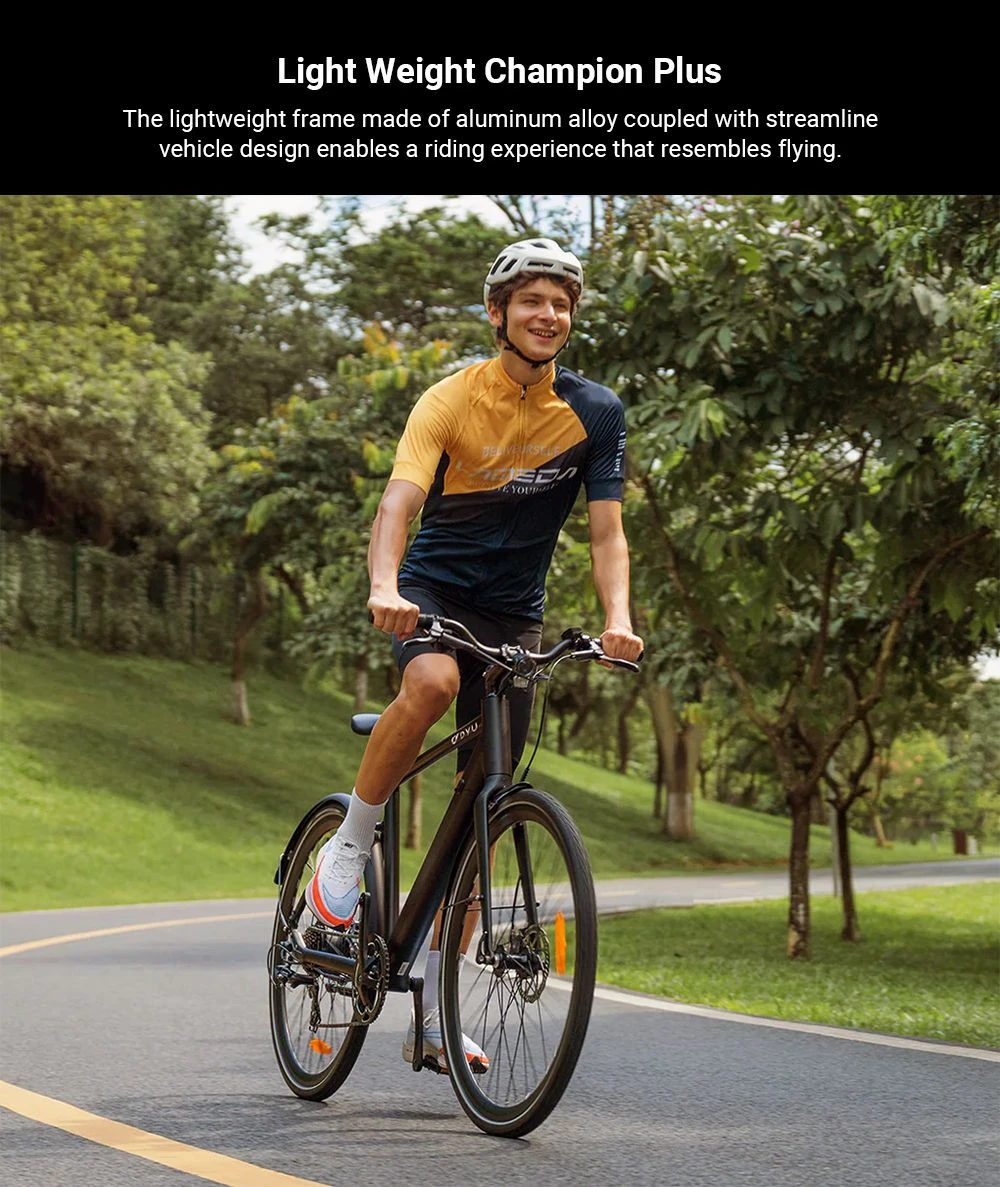 DYU Stroll 1 Electric Bike, 250W Motor, 36V 9Ah Battery, 700*38C CST Tire, 25km/h Max Speed, 100km Range, Dual Hydraulic Disc Brake, Shimano 7-speed, LED Display - Black