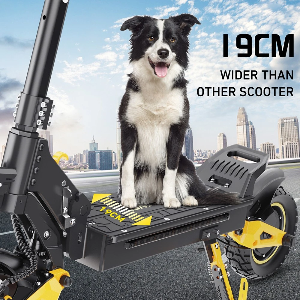 iENYRID ES1 Scuter electric, 250W*2 Motor, 48V 20.8Ah Baterie, 10 inch Anvelope Off-road, 25km/h Max Speed, 60km, Dual Disc Brakes, Suspensie hidraulică frontală și spate, Control de croazieră