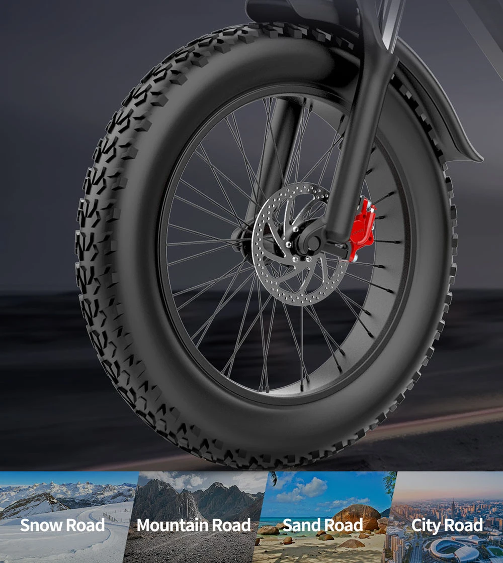 Ridstar Q20 Mini Electric Bike, 1000W Motor, 48V 15AH Battery, 20*4.0 inch Fat Tires, 40km/h Max Speed, 80km Range, Front Suspension Fork, Mechanical Disc Brakes