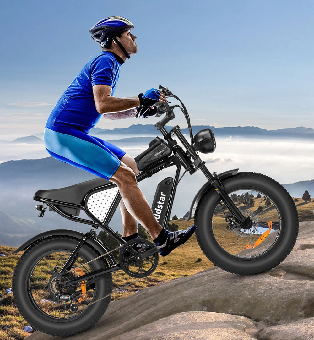 Ridstar Q20 Mini Electric Bike, 1000W Motor, 48V 15AH Battery, 20*4.0 inch Fat Tires, 40km/h Max Speed, 80km Range, Front Suspension Fork, Mechanical Disc Brakes