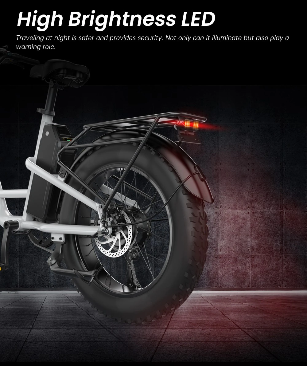 EKXBIKE L1 Electric Bike, 1000W Motor, 48V 15.6Ah Battery, 20*4 inch Fat Tire, 55km/h Max Speed, 80km Range, Disc Brake, Front & Rear Suspension,