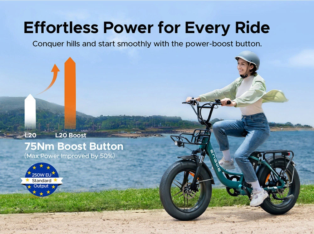 Vélo électrique ENGWE L20 BOOST, moteur 250 W, batterie 48 V 13 Ah, pneus larges 20 x 4 pouces, vitesse maximale 25 km/h, autonomie maximale 126 km, capteur de couple, Shimano 7 vitesses, suspension de fourche avant, freins à disque mécaniques - Noir