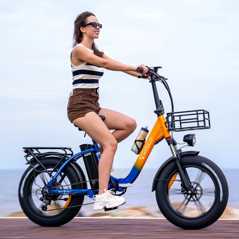 Ridstar MN20 Electric Bike, 500W Motor, 20*4.0 inch Fat Tire, 48V 20Ah Battery, 48km/h Max Speed, 150kg Max Load, 50-70km Range, Shimano 7-speed, Dual Mechanical Disc Brakes