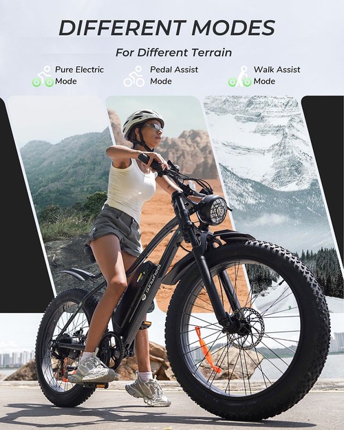 isinwheel M10 Plus Electric Bike, 250W Motor, 48V 13Ah Battery, 26*4.0 inch Tires, 25km/h Max Speed, 100km Range, Front & Rear Disc Brakes, 7 Speed Transmission, Full Suspension - Blue