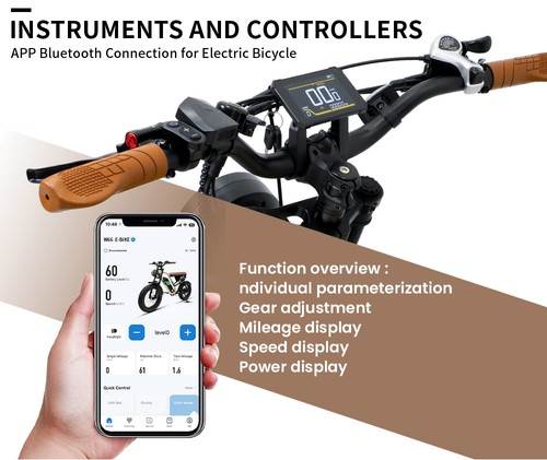 ONESPORT W66 Electric Bike, 500W Motor, 48V 13.5Ah Battery, 20*4.0 inch Tire, 25km/h Max Speed, 100km Range, Front & Rear Hydraulic Disc Brakes, Shock Absorbing Front Fork, 7-speed Transmission