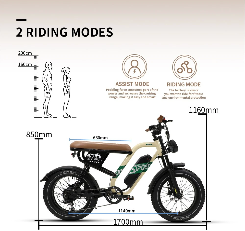 ONESPORT W66 Electric Bike, 500W Motor, 48V 13.5Ah Battery, 20*4.0 inch Tire, 25km/h Max Speed, 100km Range, Front & Rear Hydraulic Disc Brakes, Shock Absorbing Front Fork, 7-speed Transmission