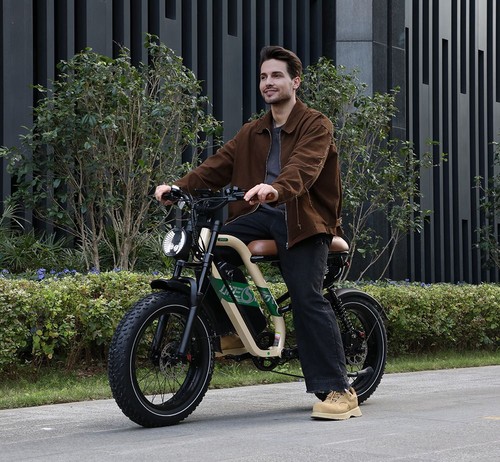 ONESPORT W66 Electric Bike, 500W Motor, 48V 13.5Ah Battery, 20*4.0 inch Tire, 25km/h Max Speed, 100km Range, Front & Rear Hydraulic Disc Brakes, Shock Absorbing Front Fork, 7-speed Transmission