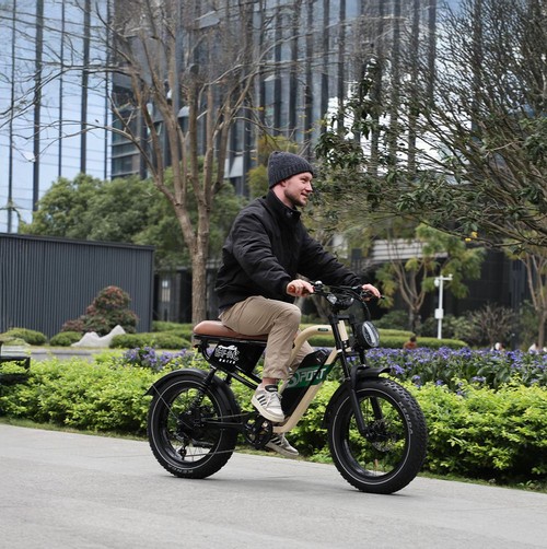 ONESPORT W66 Electric Bike, 500W Motor, 48V 13.5Ah Battery, 20*4.0 inch Tire, 25km/h Max Speed, 100km Range, Front & Rear Hydraulic Disc Brakes, Shock Absorbing Front Fork, 7-speed Transmission