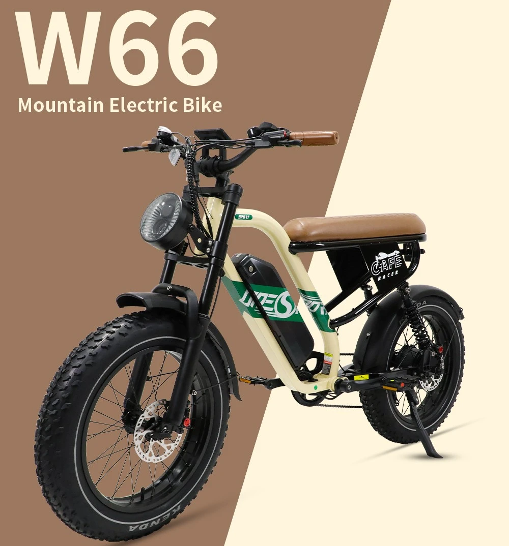 ONESPORT W66 Electric Bike, 500W Motor, 48V 13.5Ah Battery, 20*4.0 inch Tire, 25km/h Max Speed, 100km Range, Front & Rear Hydraulic Disc Brakes, Shock Absorbing Front Fork, 7-speed Transmission