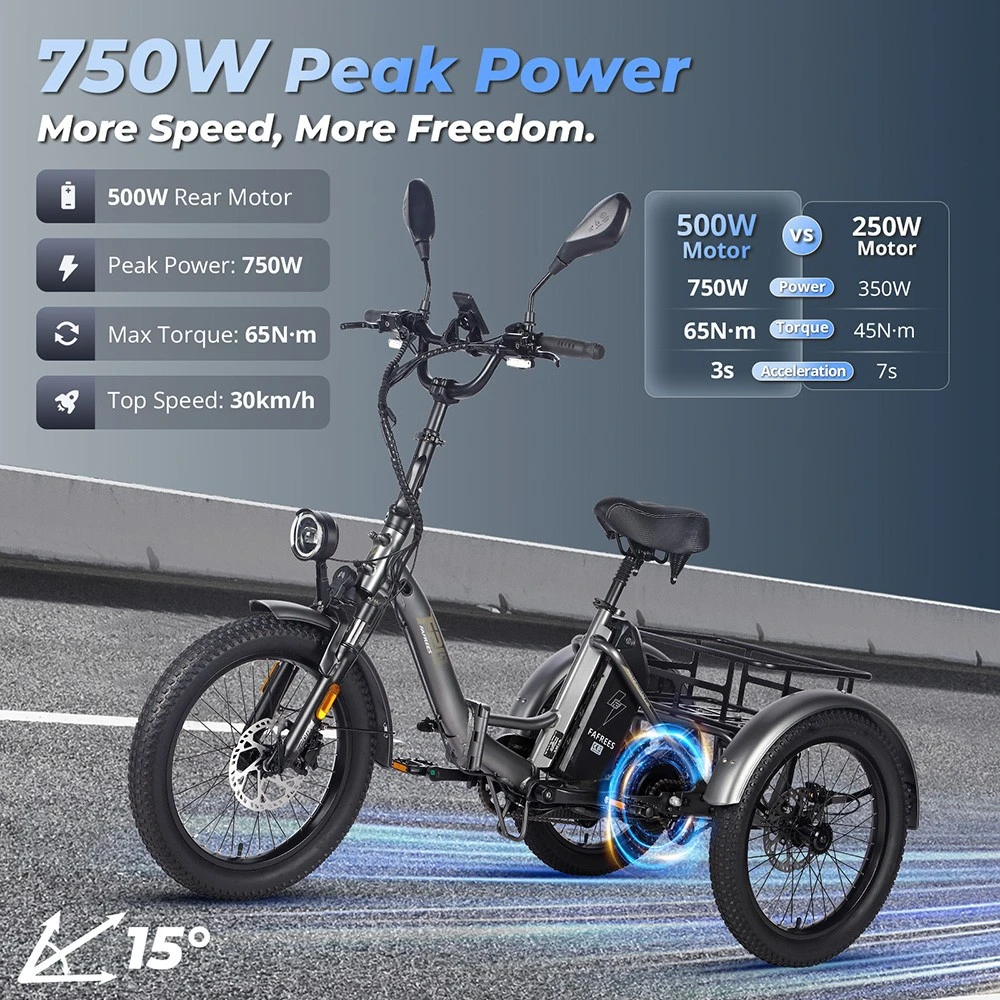 FAFREES F20 Mate Electric Cargo Tricycle Upgrade Version, 500W Motor, 48V 21Ah Battery, 20*3.0 inch Tires, 25km/h Max Speed, 115km Max Range, Hydraulic Disc Brakes, Triple Suspension System, Aluminum Differential - Black