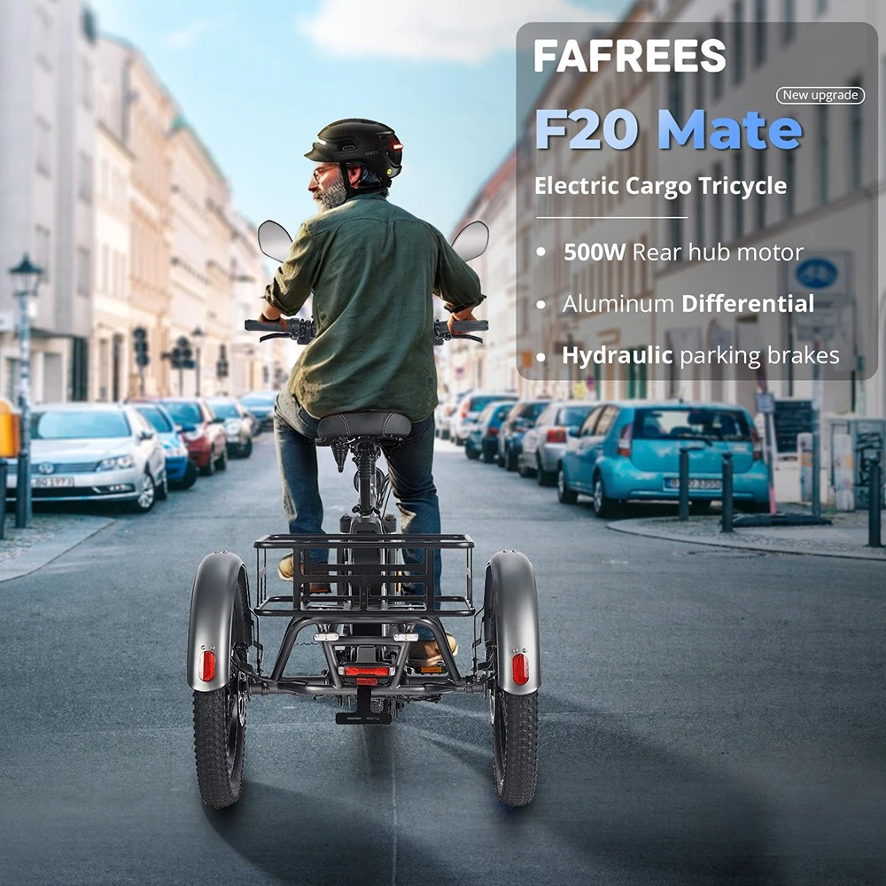 FAFREES F20 Mate Electric Cargo Tricycle Upgrade Version, 500W Motor, 48V 23.45Ah Battery, 20*3.0 inch Tires, 25km/h Max Speed, 120km Max Range, Hydraulic Disc Brakes, Triple Suspension System, Aluminum Differential - Black