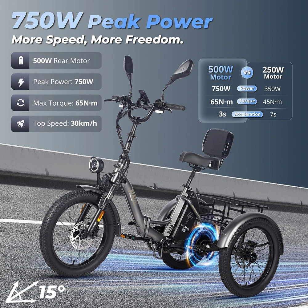FAFREES F20 Mate Electric Cargo Tricycle Upgrade Version, 500W Motor, 48V 23.45Ah Battery, 20*3.0 inch Tires, 25km/h Max Speed, 120km Max Range, Hydraulic Disc Brakes, Triple Suspension System, Aluminum Differential - Black