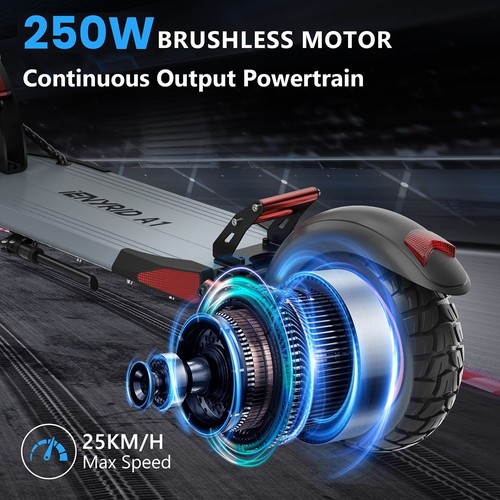 IENYRID A1 Electric Scooter, 250W Motor, 48V 12.5Ah Battery, 10 inch Tires, 25km/h Max Speed, 30km Range, Front & Rear Mechanical Disc Brakes, Spring Shock Absorber