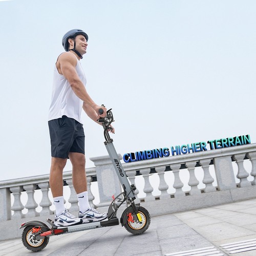 IENYRID A1 Electric Scooter, 250W Motor, 48V 12.5Ah Battery, 10 inch Tires, 25km/h Max Speed, 30km Range, Front & Rear Mechanical Disc Brakes, Spring Shock Absorber