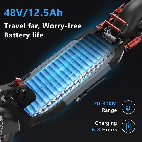 IENYRID A1 Electric Scooter, 250W Motor, 48V 12.5Ah Battery, 10 inch Tires, 25km/h Max Speed, 30km Range, Front & Rear Mechanical Disc Brakes, Spring Shock Absorber