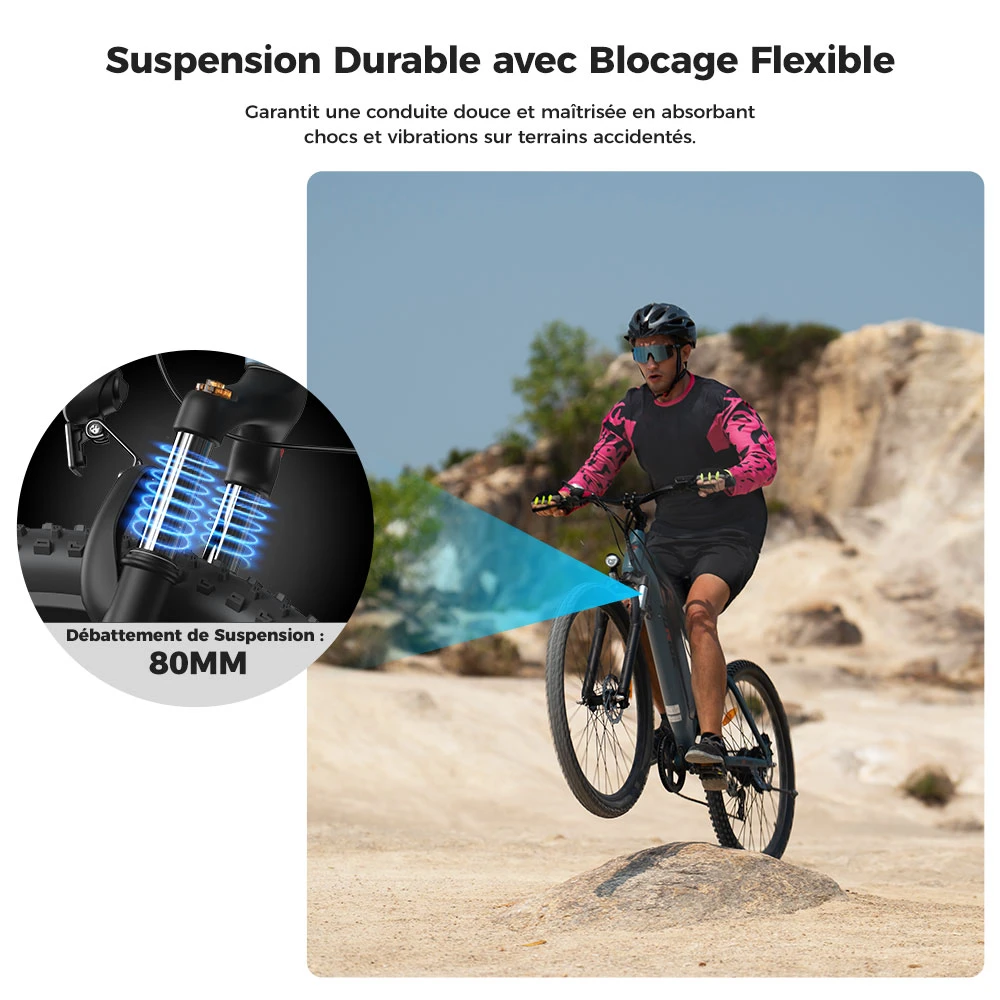 Foride Xtremer 3 Vélo électrique, moteur 250 W, batterie 48 V 12 Ah, pneus 29 x 2,4 pouces, vitesse maximale 25 km/h, autonomie maximale 120 km, freins à disque hydrauliques, suspension avec blocage, transmission Shimano 7 vitesses
