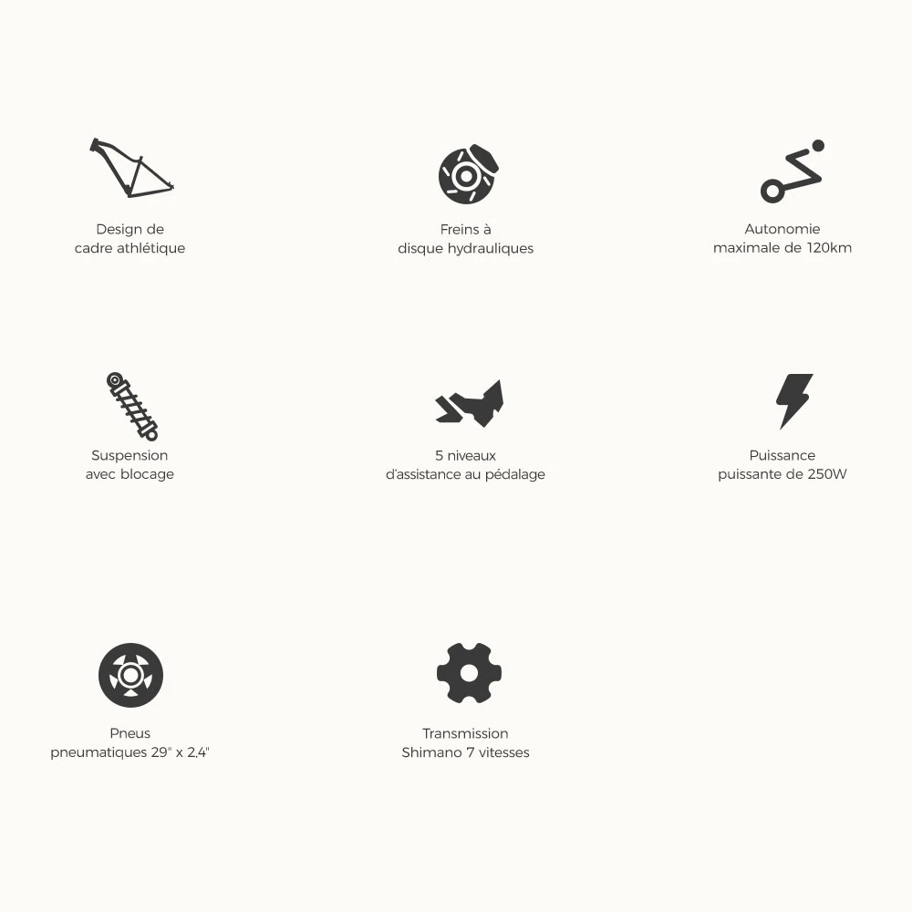 Foride Xtremer 3 Vélo électrique, moteur 250 W, batterie 48 V 12 Ah, pneus 29 x 2,4 pouces, vitesse maximale 25 km/h, autonomie maximale 120 km, freins à disque hydrauliques, suspension avec blocage, transmission Shimano 7 vitesses