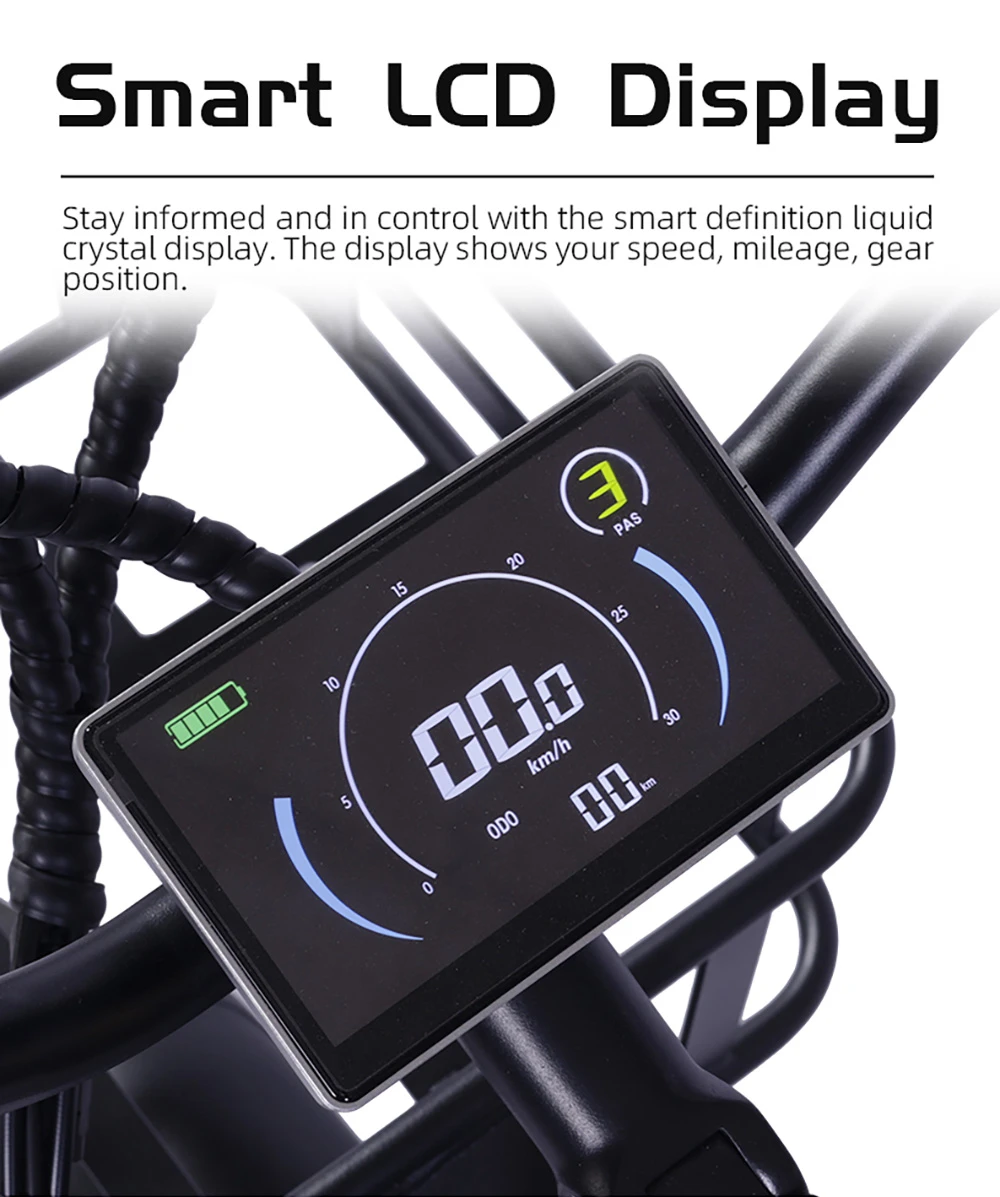 GOGOBEST GF200 Electric Bike, 500W Motor, 48V 15.6Ah Battery, 20 x 3.0 Inch Tires, Max Speed 45km/h, Max Range 80km, Mechanical Disc Brakes, Shimano 7-Speed, LCD Display - Green