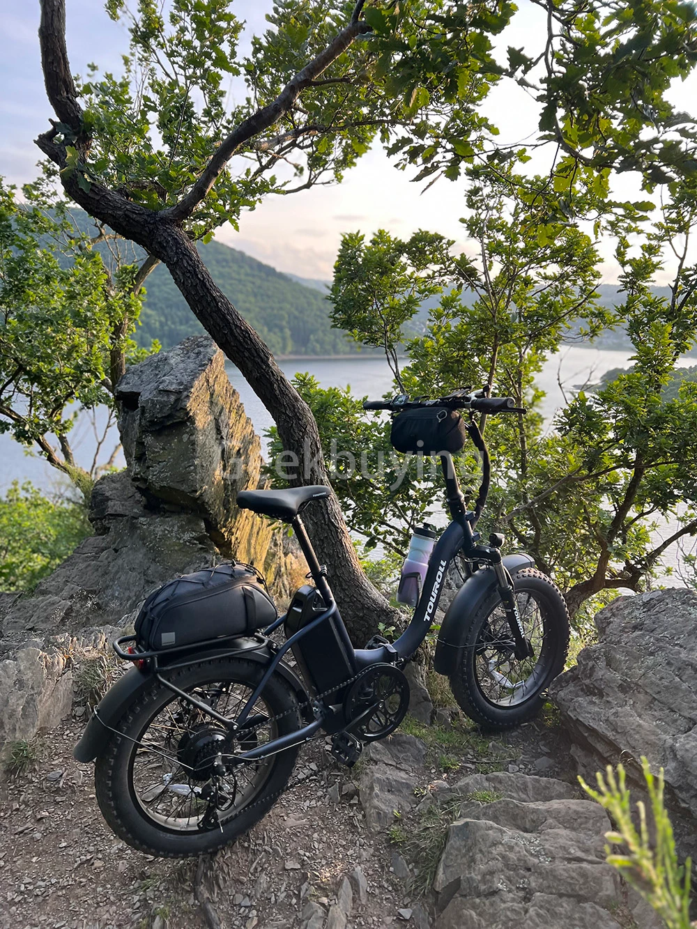 Touroll S2 Vélo électrique, puissance maximale de 650 W, batterie 48 V 15 Ah, pneu 20 x 4,0 pouces, vitesse maximale de 25 km/h, autonomie maximale de 150 km, frein à disque mécanique et frein électrique, amortisseur mécanique, Shimano 7 vitesses