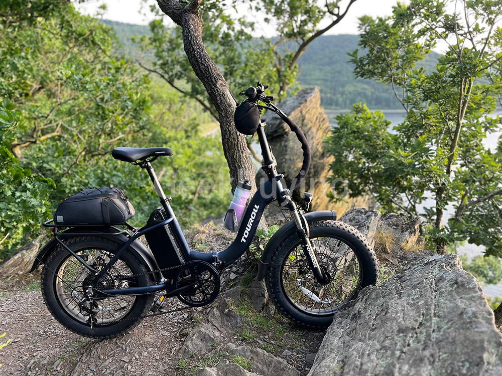Touroll S2 Vélo électrique, puissance maximale de 650 W, batterie 48 V 15 Ah, pneu 20 x 4,0 pouces, vitesse maximale de 25 km/h, autonomie maximale de 150 km, frein à disque mécanique et frein électrique, amortisseur mécanique, Shimano 7 vitesses