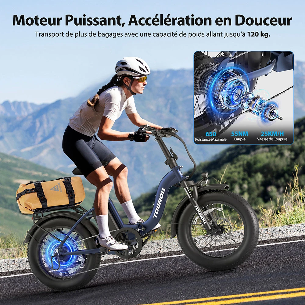 Touroll S2 Vélo électrique, puissance maximale de 650 W, batterie 48 V 15 Ah, pneu 20 x 4,0 pouces, vitesse maximale de 25 km/h, autonomie maximale de 150 km, frein à disque mécanique et frein électrique, amortisseur mécanique, Shimano 7 vitesses