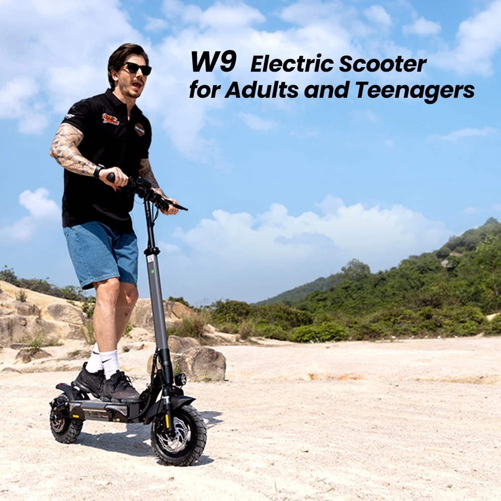 iScooter W9 Trottinette électrique, moteur 1000 W, batterie 48 V 13 Ah, pneus 10 pouces, vitesse maximale 45 km/h, autonomie 45 km, freins à disque avant et arrière, double absorption des chocs, écran LCD