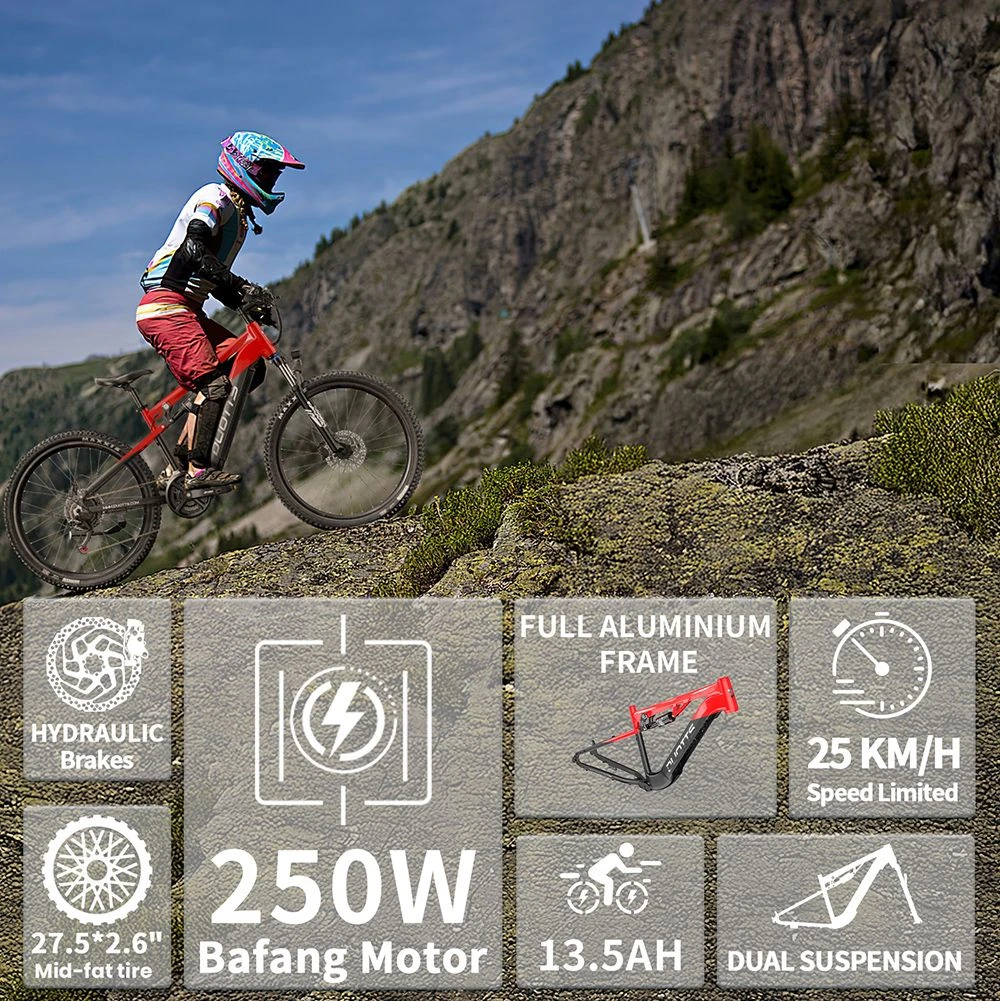 DUOTTS E29 Electric Bike, 250W Motor, 48V 13.5Ah Battery, 27.5 inch Tires, 25km/h Max Speed, 90km Range, Shimano Hydraulic Disc Brakes, DNM Air Suspension, Shimano 14-speed, Torque Sensor - Black Red