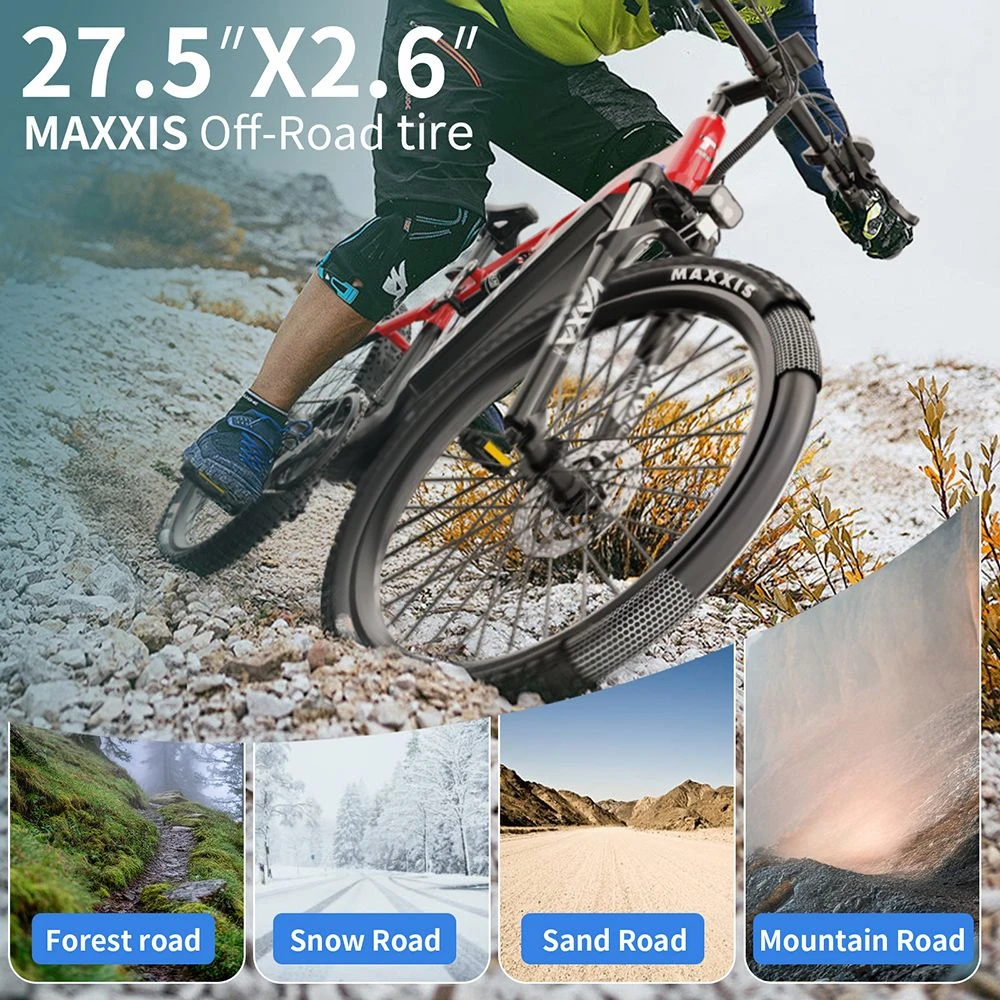 DUOTTS E29 Electric Bike, 250W Motor, 48V 13.5Ah Battery, 27.5 inch Tires, 25km/h Max Speed, 90km Range, Shimano Hydraulic Disc Brakes, DNM Air Suspension, Shimano 14-speed, Torque Sensor - Black Red