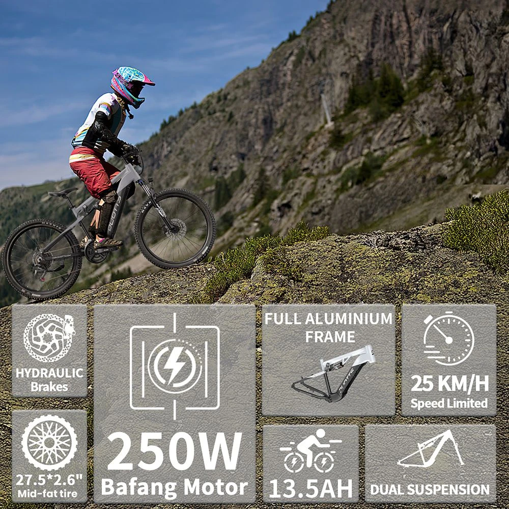 Bicicletă electrică DUOTTS E29, motor de 250W, baterie de 48V 13.5Ah, anvelope de 27.5 inch, viteză maximă de 25km/h, autonomie de 90km, frâne hidraulice pe disc Shimano, suspensie pneumatică DNM, transmisie Shimano cu 14 viteze, senzor de cuplu - argintiu-alb