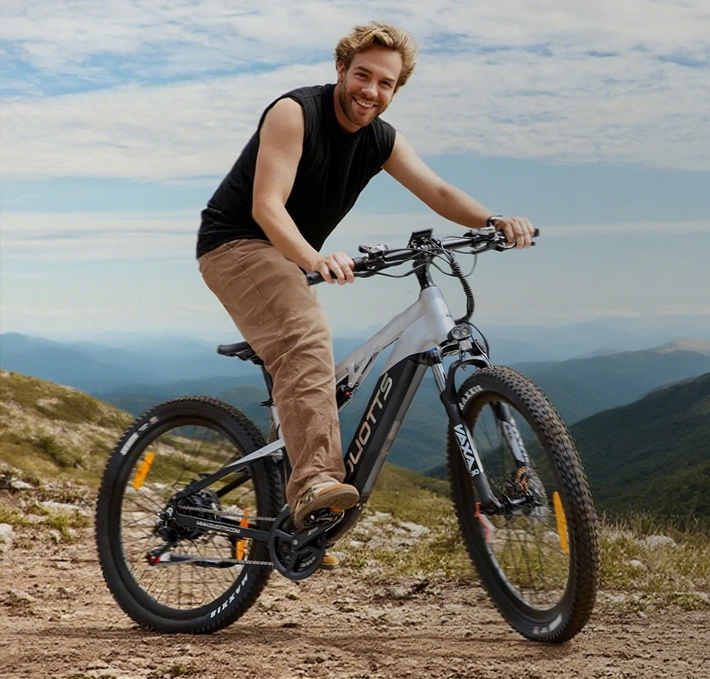 Bicicletă electrică DUOTTS E29, motor de 250W, baterie de 48V 13.5Ah, anvelope de 27.5 inch, viteză maximă de 25km/h, autonomie de 90km, frâne hidraulice pe disc Shimano, suspensie pneumatică DNM, transmisie Shimano cu 14 viteze, senzor de cuplu - argintiu-alb