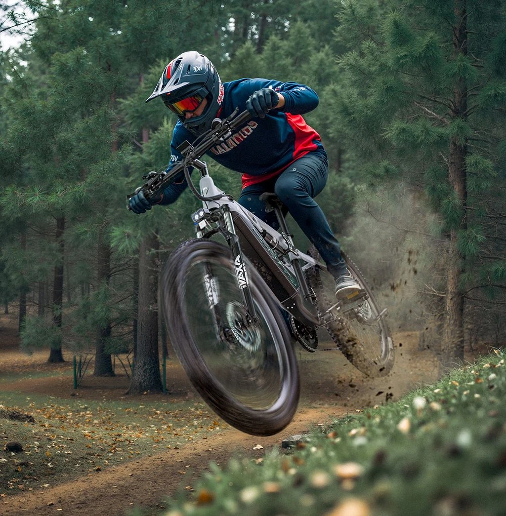 Bicicletă electrică DUOTTS E29, motor de 250W, baterie de 48V 13.5Ah, anvelope de 27.5 inch, viteză maximă de 25km/h, autonomie de 90km, frâne hidraulice pe disc Shimano, suspensie pneumatică DNM, transmisie Shimano cu 14 viteze, senzor de cuplu - argintiu-alb