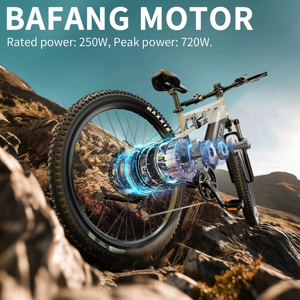 Bicicletă electrică DUOTTS E29, motor de 250W, baterie de 48V 13.5Ah, anvelope de 27.5 inch, viteză maximă de 25km/h, autonomie de 90km, frâne hidraulice pe disc Shimano, suspensie pneumatică DNM, transmisie Shimano cu 14 viteze, senzor de cuplu - argintiu-alb