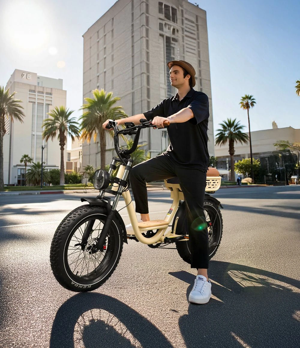 Onesport W77 Electric Bike, 500W Motor, 48V 18Ah Battery, 20*4 inch Tires, 25km/h Max Speed, 90km Range, Hydraulic Brake, Dual Suspension, Shimano 7-speed