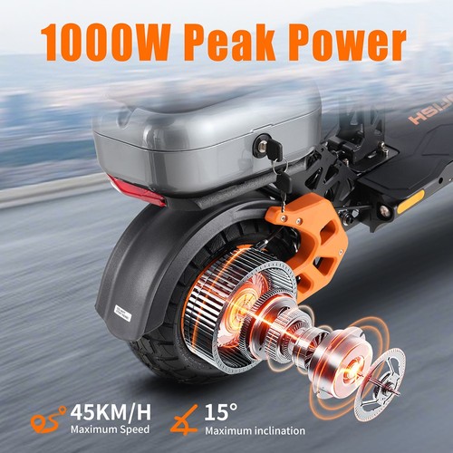 TWOFISH V5 MAX Electric Scooter with Seat, 800W Motor, 48V 18Ah Battery, Front 11 inch & Rear 10 inch Tires, 45km/h Max Speed, 45km Range, Front & Rear Disc Brake, Front & Rear Dual Suspension, LCD Display