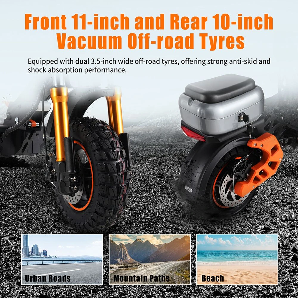 Trottinette électrique TWOFISH V5 MAX avec siège, moteur 800 W, batterie 48 V 18 Ah, pneus avant 11 pouces et arrière 10 pouces, vitesse maximale 45 km/h, autonomie 45 km, freins à disque avant et arrière, double suspension avant et arrière, écran LCD