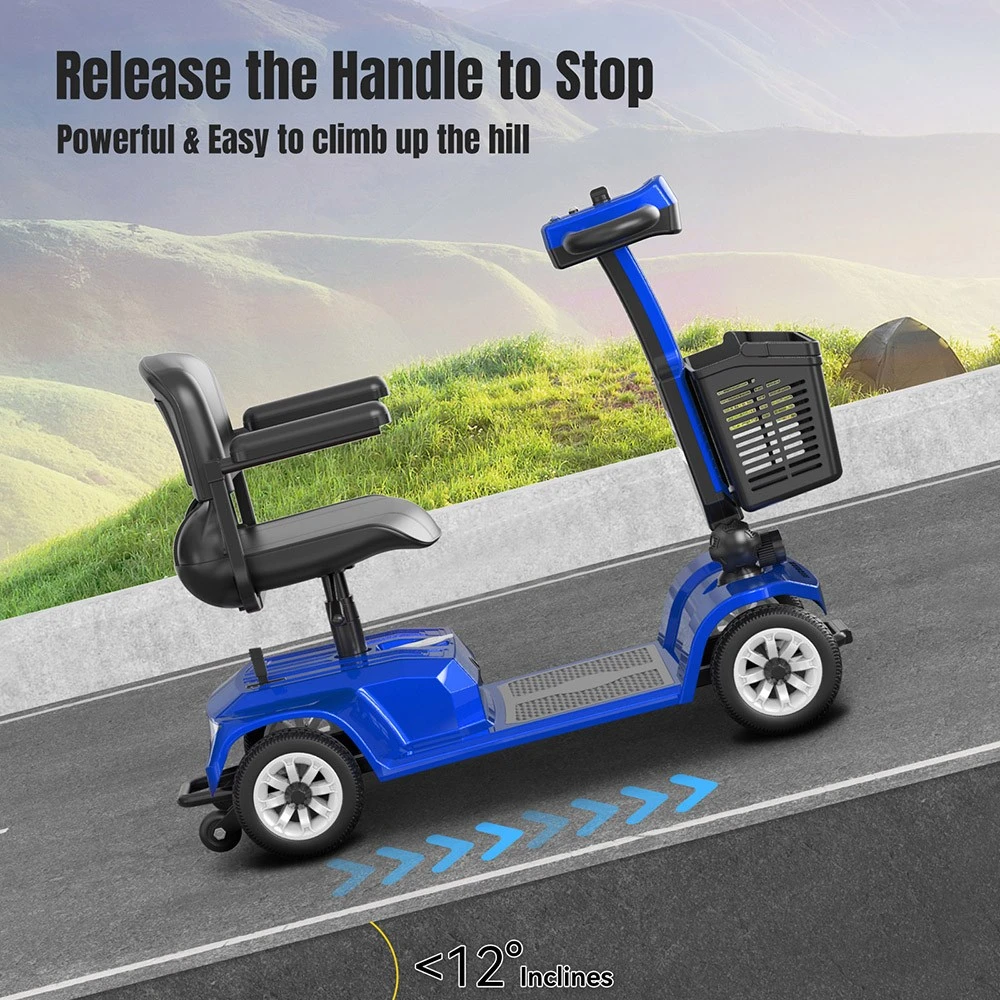 Unificare Lucas Pro Four-wheeled Scooter, 180W Motor, 24V 12Ah Battery, 8 inch Tires, 6km/h Max Speed, 20km Range, Magnetic Brake, 190kg Max Load - Blue