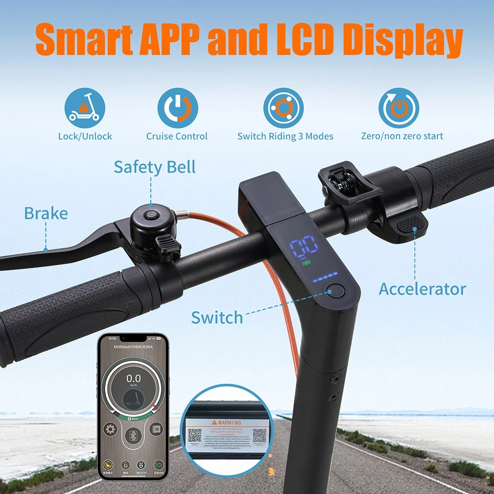 TWOFISH V1 MAX Electric Scooter, 400W Motor, 36V 10.4Ah Battery, 10 inch Tires, 32km/h Max Speed, 25km Range, Rear Disc Brake, LCD Display
