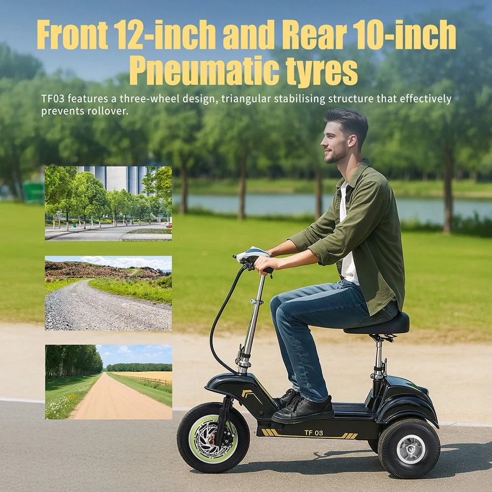 TWOFISH TF03 Electric Scooter with Removable Seat, 350W Motor, 48V 15Ah Battery, Front 12 inch & Rear 10 inch Tires, 28km/h Max Speed, 30km Range, Disc Brakes, Front Spring Suspension