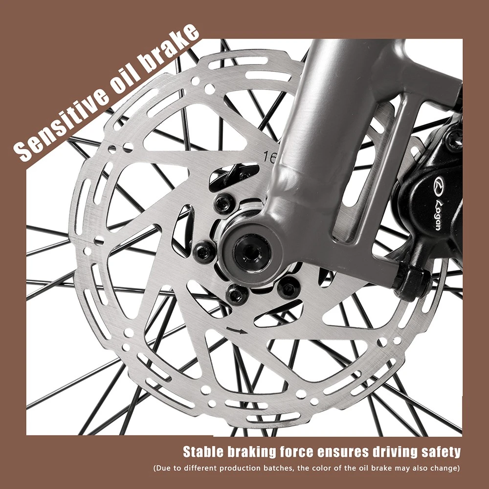 CMACEWHEEL F700-1 Electric Bike, 250W Motor, 36V 10Ah Battery, 700*38C Tires, 25km/h Max Speed, 80km Range, Hydraulic Disc Brakes, Shimano 8-speed - Grey