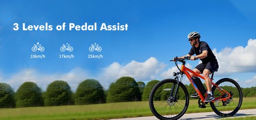 PVY M29 Electric Bike, 250W Motor, 48V 17.5Ah Battery, 29 inch Tires, 25km/h Max Speed, 120km Range, Dual Mechanical Disc Brakes, Front Hydraulic Shock Absorber, Shimano 7-speed, APP Control - Orange