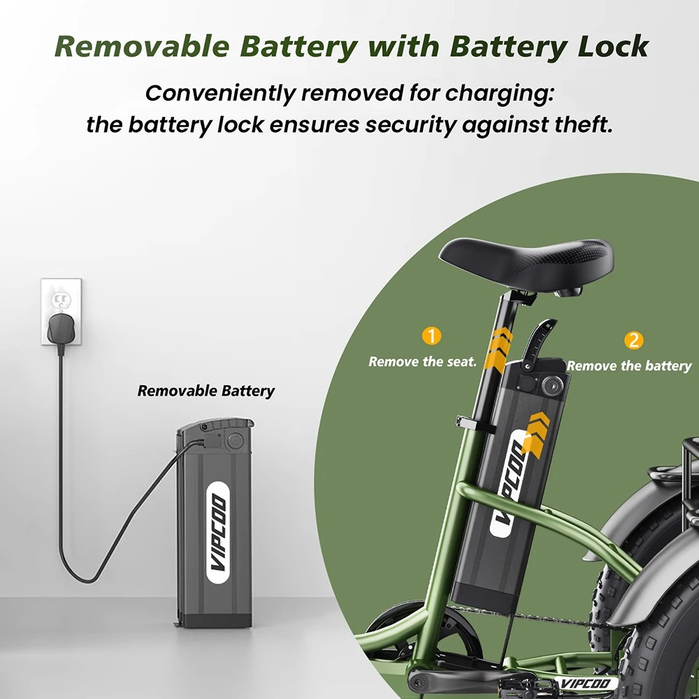 Vipcoo VC-ET1 Electric Tricycle, 750W Motor, 48V 20Ah Battery, 20*4.0 inch Tires, 40km/h Max Speed, 65km Range, Mechanical Disc Brakes, Front Fork Suspension, 7-speed Transmission, LCD Display