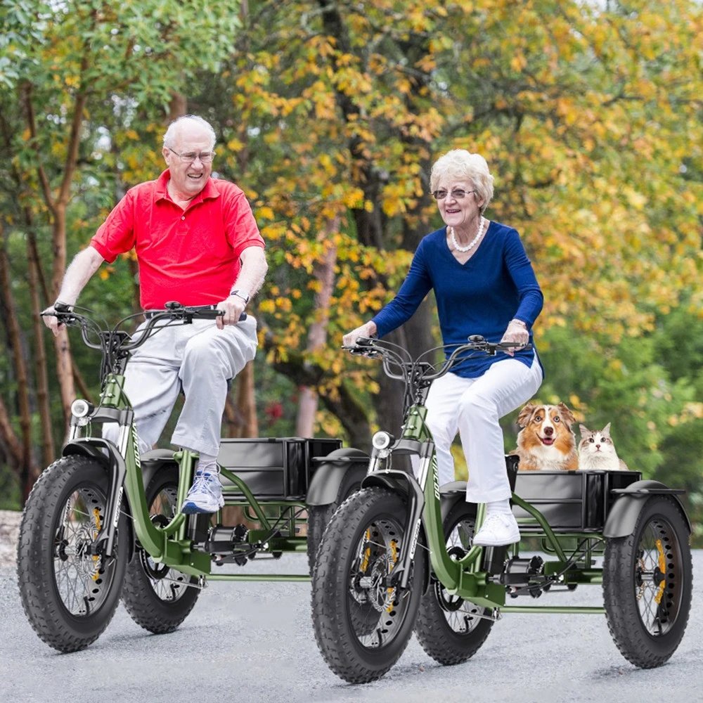 Vipcoo VC-ET1 Electric Tricycle, 750W Motor, 48V 20Ah Battery, 20*4.0 inch Tires, 40km/h Max Speed, 65km Range, Mechanical Disc Brakes, Front Fork Suspension, 7-speed Transmission, LCD Display