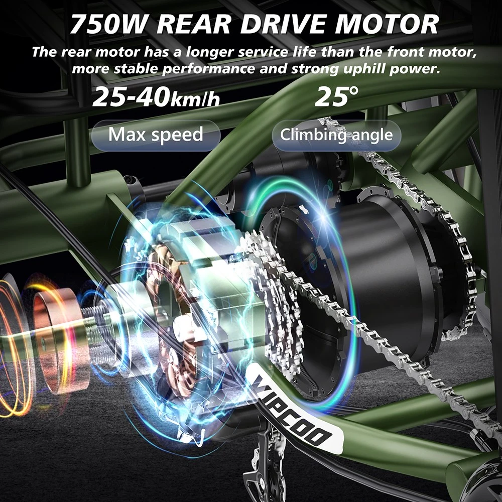 Vipcoo VC-ET1 Electric Tricycle, 750W Motor, 48V 20Ah Battery, 20*4.0 inch Tires, 40km/h Max Speed, 65km Range, Mechanical Disc Brakes, Front Fork Suspension, 7-speed Transmission, LCD Display