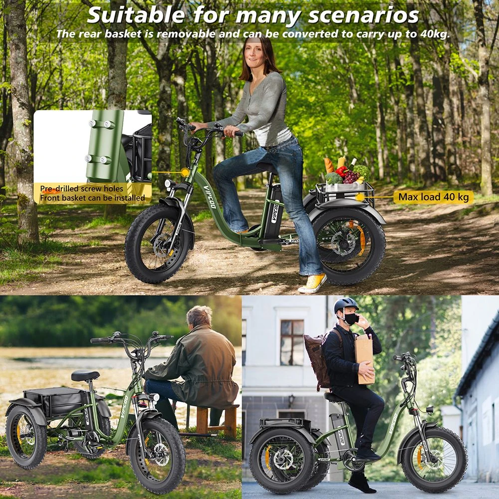 Vipcoo VC-ET1 Electric Tricycle, 750W Motor, 48V 20Ah Battery, 20*4.0 inch Tires, 40km/h Max Speed, 65km Range, Mechanical Disc Brakes, Front Fork Suspension, 7-speed Transmission, LCD Display