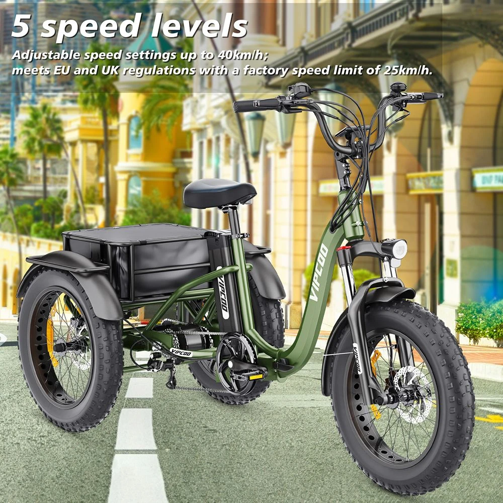 Vipcoo VC-ET1 Electric Tricycle, 750W Motor, 48V 20Ah Battery, 20*4.0 inch Tires, 40km/h Max Speed, 65km Range, Mechanical Disc Brakes, Front Fork Suspension, 7-speed Transmission, LCD Display