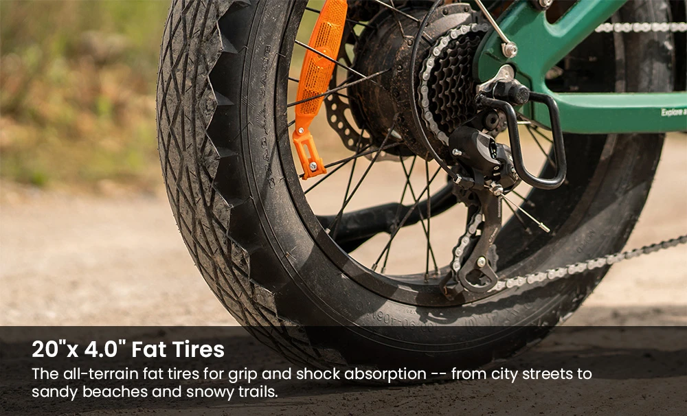 ENGWE EP-2 3.0 Boost Electric Bike, 250W Motor, 48V 13.5Ah Battery, 20*4 inch Tires, 120km Max Range, Hydraulic Brakes, Shimano 7-speed, Torque Sensor, App Control, Fast Charging- Black