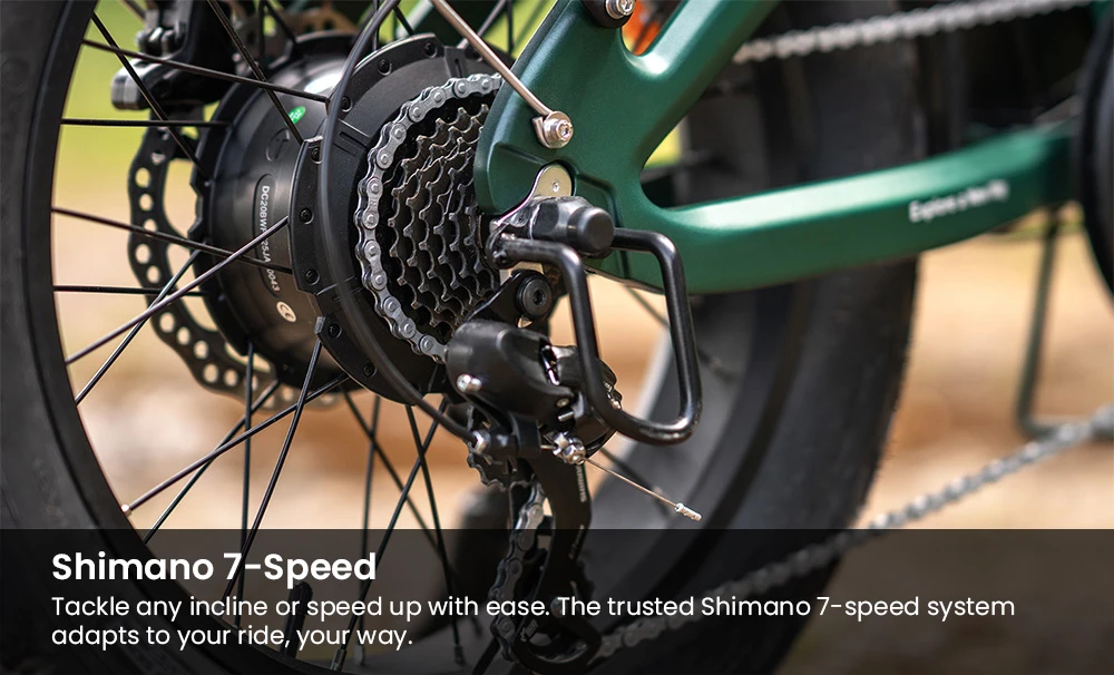 ENGWE EP-2 3.0 Boost Electric Bike, 250W Motor, 48V 13.5Ah Battery, 20*4 inch Tires, 120km Max Range, Hydraulic Brakes, Shimano 7-speed, Torque Sensor, App Control, Fast Charging- Black