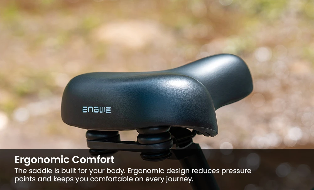 ENGWE EP-2 3.0 Boost Electric Bike, 250W Motor, 48V 13.5Ah Battery, 20*4 inch Tires, 120km Max Range, Hydraulic Brakes, Shimano 7-speed, Torque Sensor, App Control, Fast Charging- Black